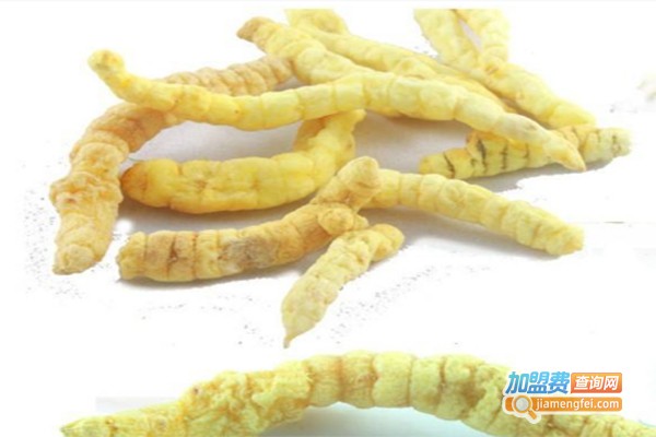 金虫9号冬虫夏草加盟费