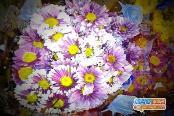 花仙缘花艺加盟门店