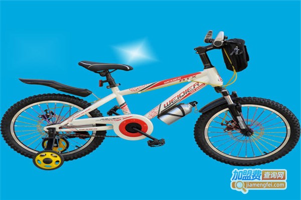 伟琪童车加盟费