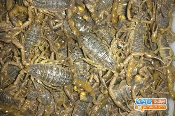 富农八号养殖加盟费