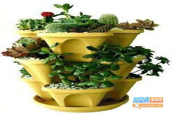 植彩坊家庭智能园艺机加盟门店