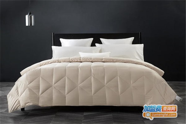 麦济格水性涂料加盟费