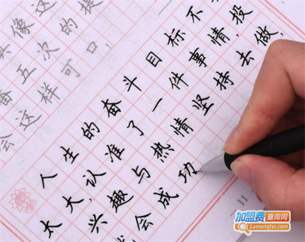 字立方钢笔字速成加盟费