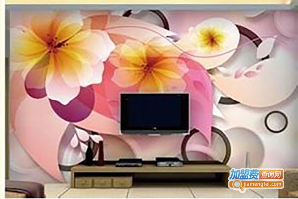 罗马e族彩装膜加盟费