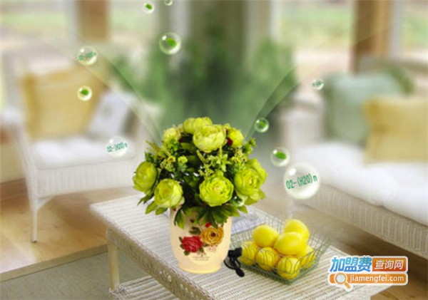 力天世纪空气净化加盟费