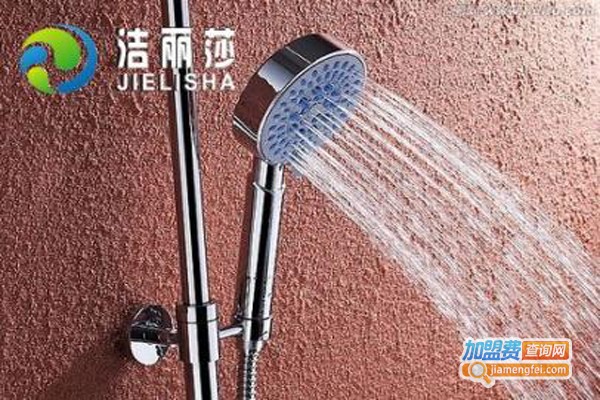 洁丽莎物理清洁器加盟