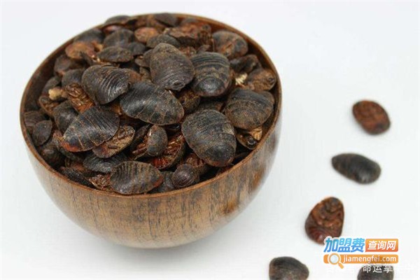 金科地鳖养殖加盟费