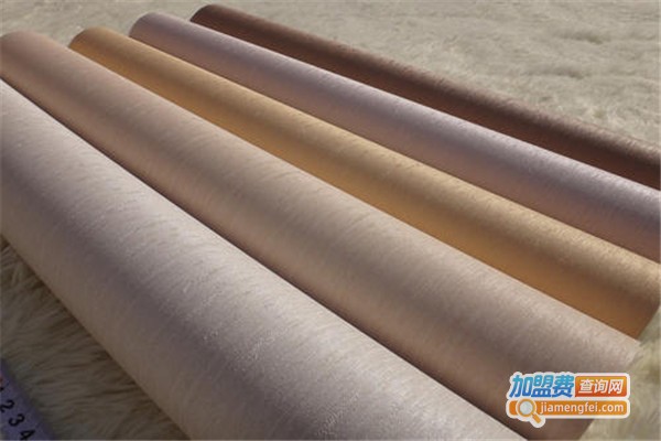 华美艾普墙体彩绘