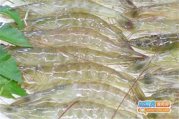 龙辉天下南美白对虾养殖加盟费