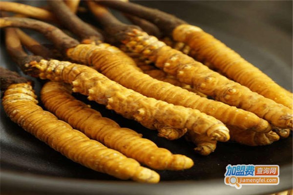 人工养殖冬虫夏草加盟