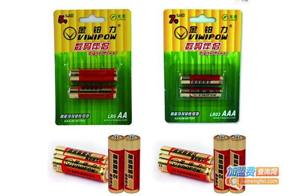 金铂力电池加盟费