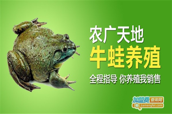 农广天地美国牛蛙加盟费