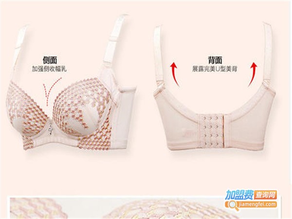 韩蔓诗内衣加盟门店