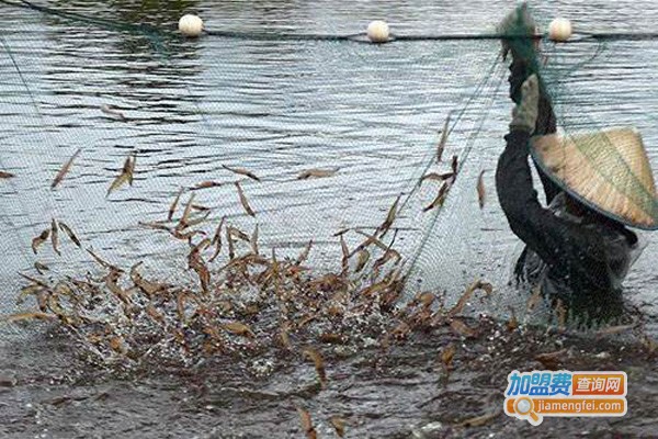 益农拾号南美白对虾加盟费