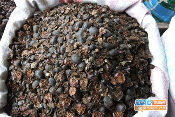 邦富9号土元加盟费