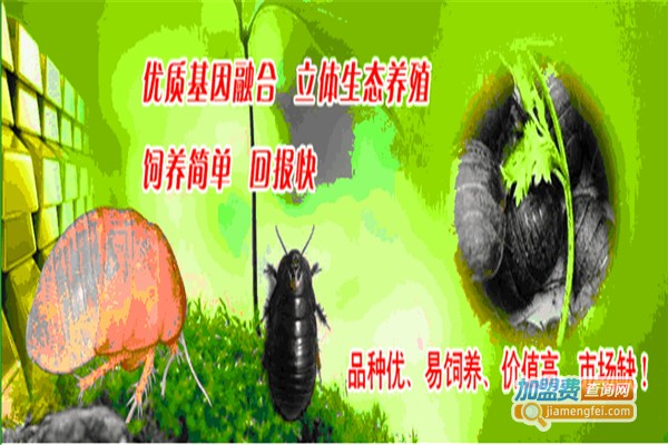 金农土元养殖加盟费