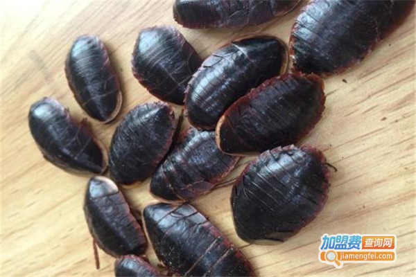 金叶环宇土元加盟费