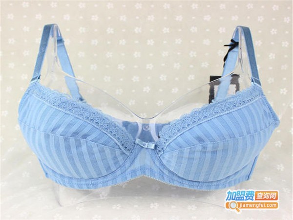 布迪时尚内衣加盟门店