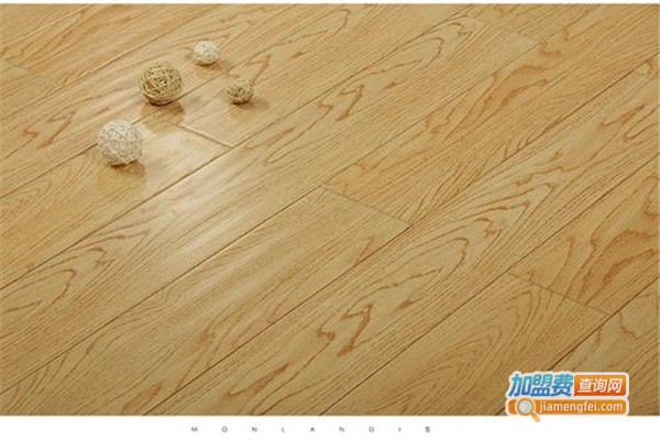 帝诺居地板加盟费