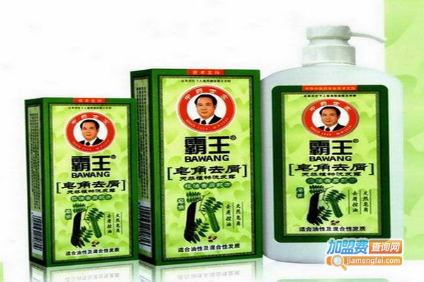 霸王洗发水加门店