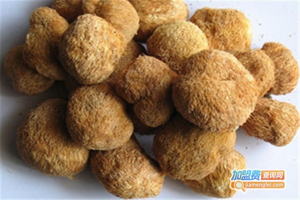 华宝6号食用菌加盟费