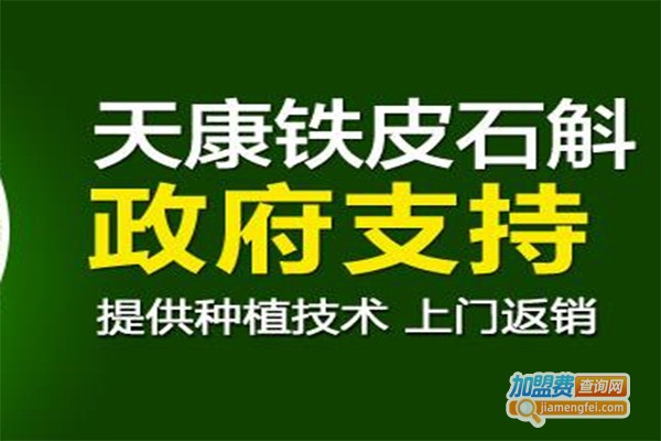 天康铁皮石斛