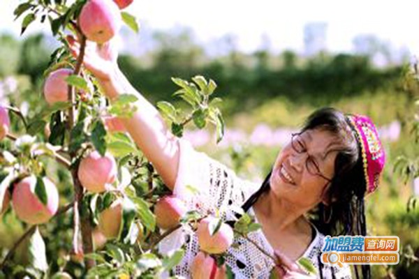 新大地农业加盟门店