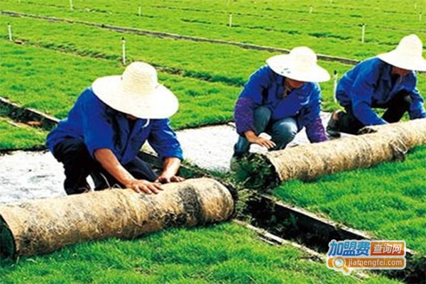 天泉种植加盟费