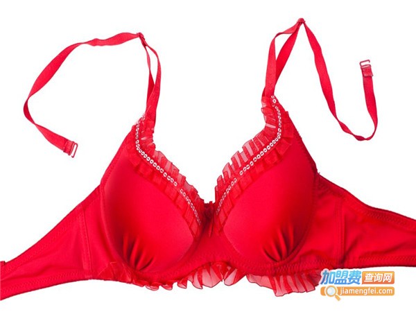 黛琳内衣加盟门店