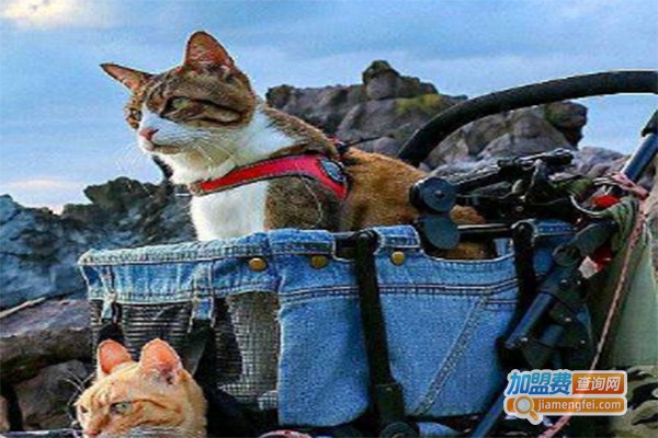 QQ猫童车加盟费