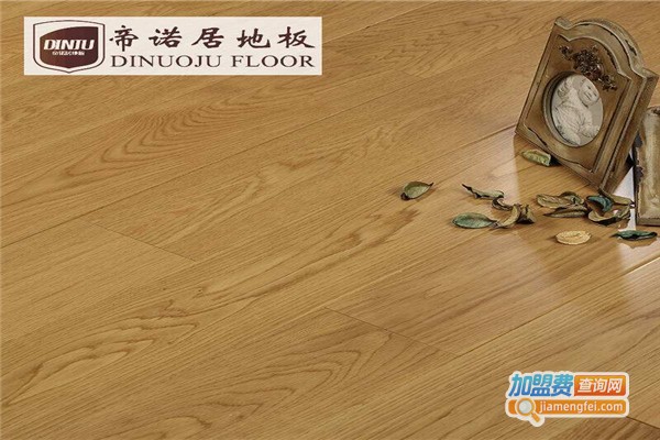 帝诺居地板加盟费