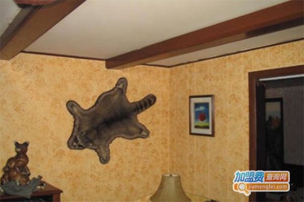 布落尼墙艺馆加盟费