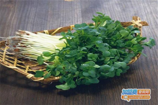 芽苗人家芽苗菜工坊