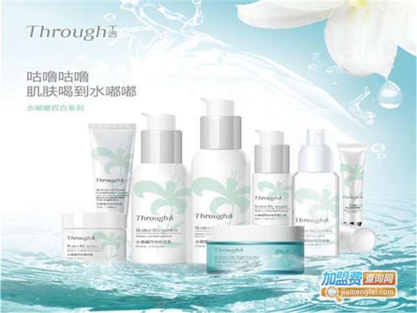 T透化妆品加盟门店