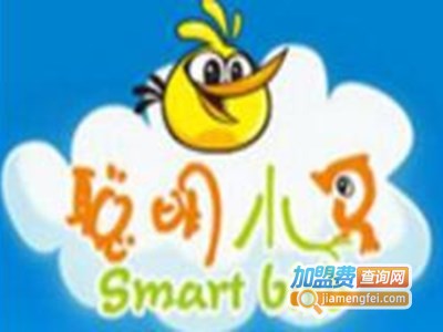 聪明小鸟童装加盟费