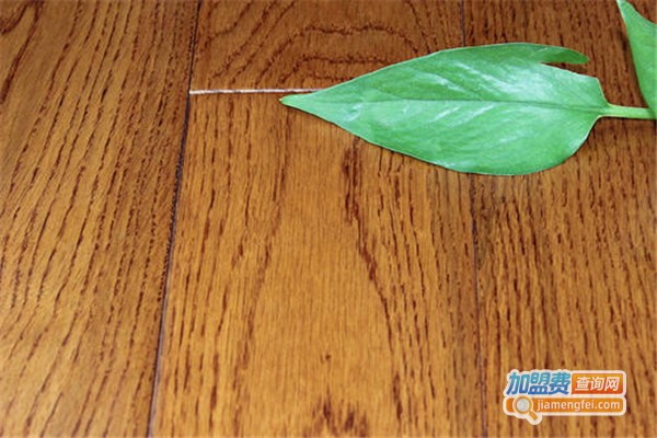 亿佳地板加盟费