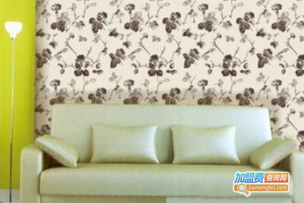 忆多彩3D幻影墙艺加盟费