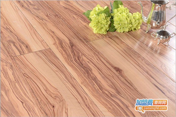 宝丽龙地板加盟费