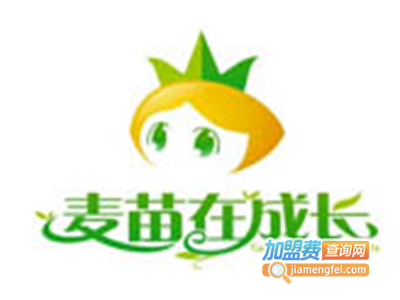 麦苗在成长童装加盟费