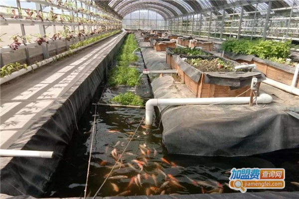 中世利民养殖加盟费