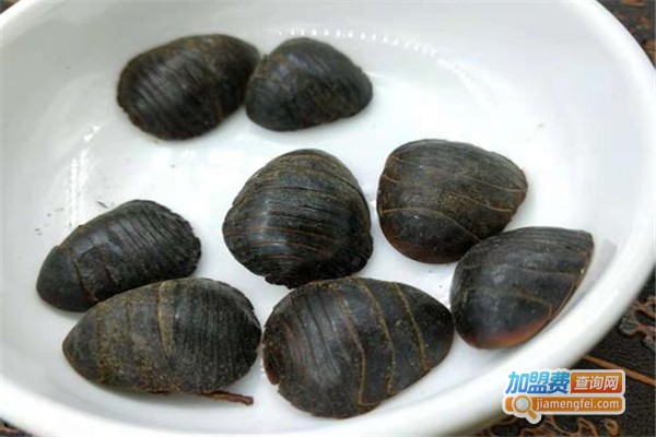 金丹8号杂交土元加盟