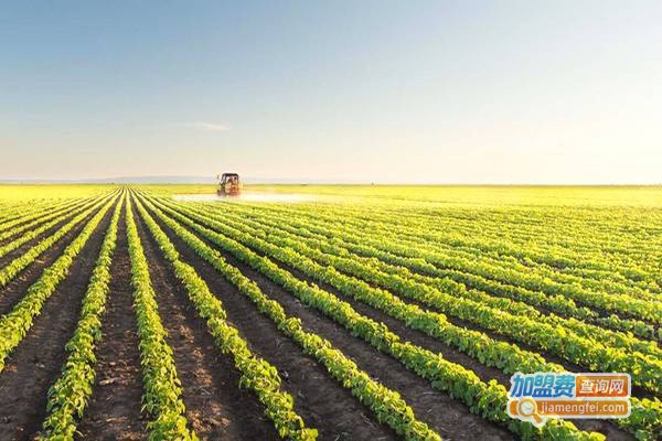 生命一号植物酶加盟门店