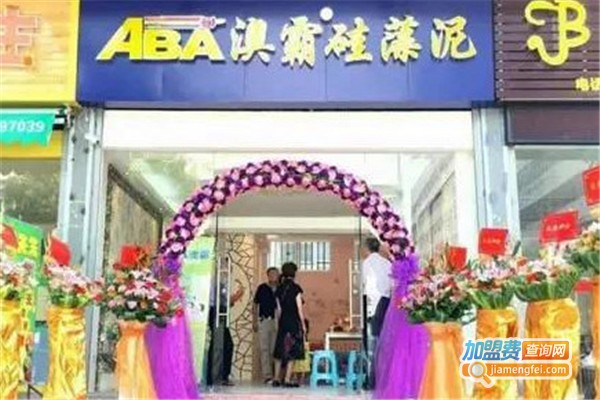 ABA澳霸无机硅藻泥