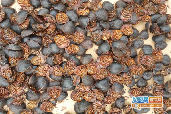 邦富9号土元加盟费