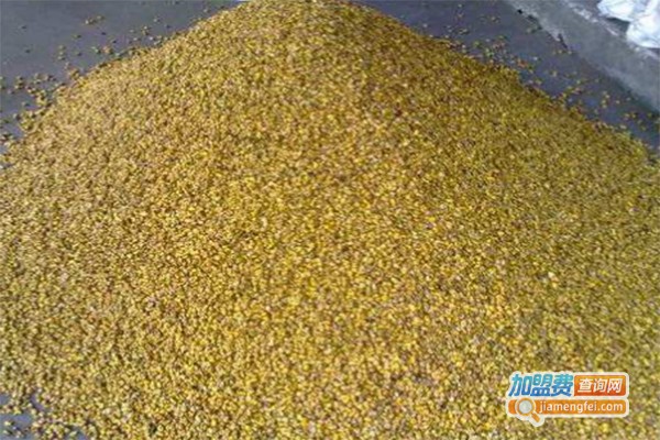 卉丰园铁皮石斛加盟费