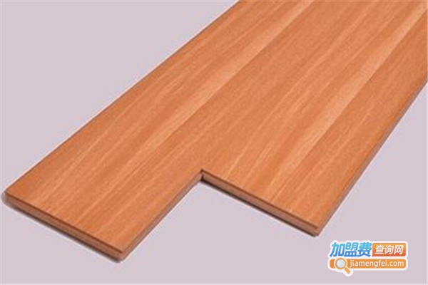 阳日自热地板加盟费