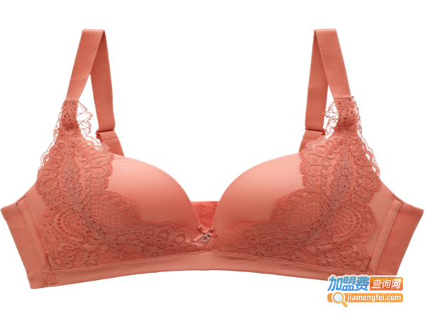 斯坦丽内衣加盟门店