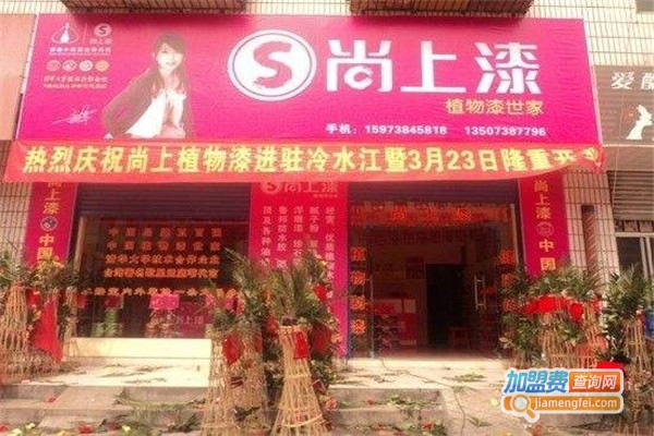 尚上植物漆加盟费