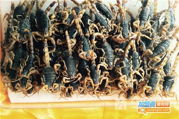 立富蜈蚣加盟费