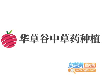 华草谷中草药种植加盟费